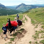Hiking and Backpacking with Llamas in Colorado