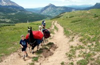 Hiking and Backpacking with Llamas in Colorado